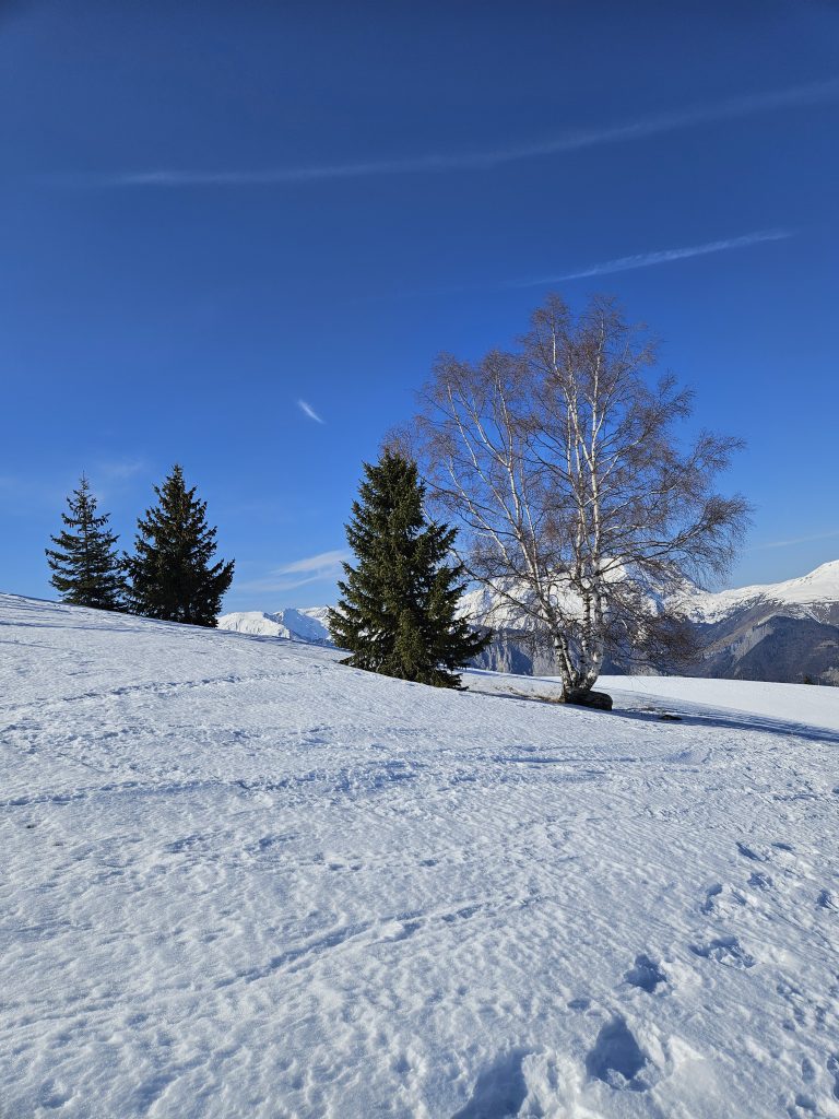 Sneeuwschoenwandelen in Isère: ontdek de stilte in de Franse Alpen tijdens je wintersportvakantie 7 20250307 103000