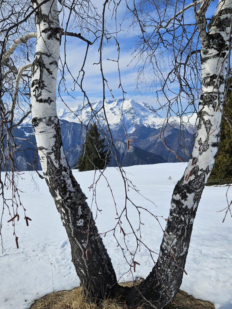 Sneeuwschoenwandelen in Isère: ontdek de stilte in de Franse Alpen tijdens je wintersportvakantie 8 20250307 115658