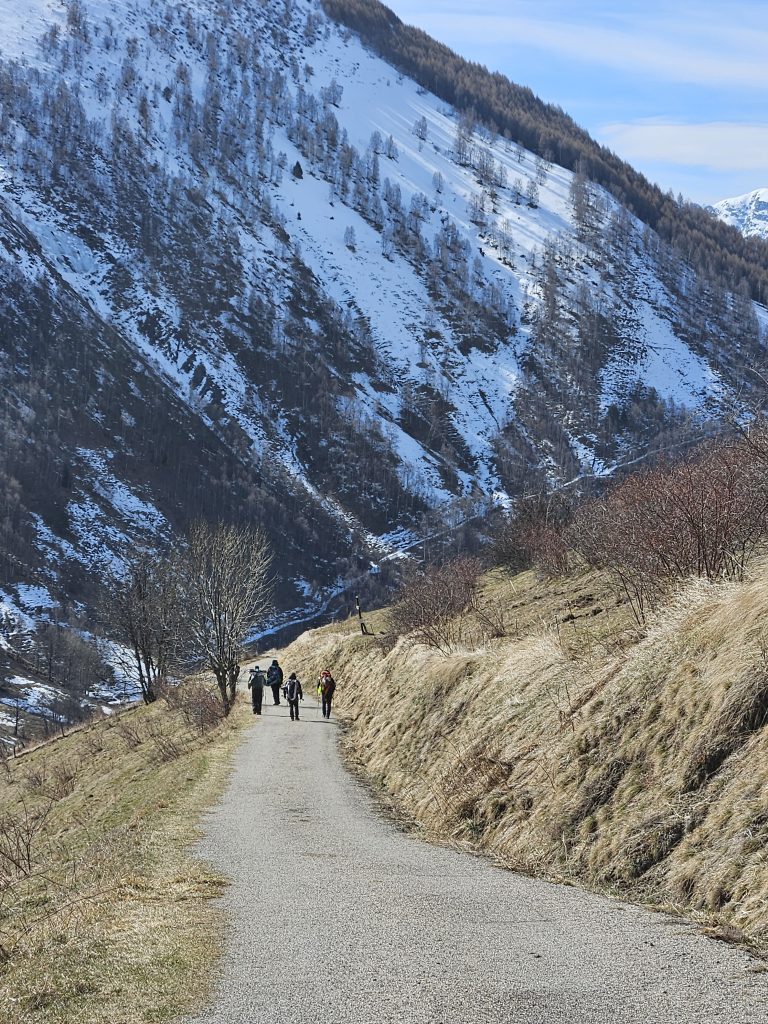 Sneeuwschoenwandelen in Isère: ontdek de stilte in de Franse Alpen tijdens je wintersportvakantie 10 Sneeuwschoenwandelen In Isère: Ontdek De Stilte In De Franse Alpen