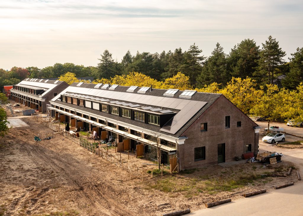 Transformatie Bosburen