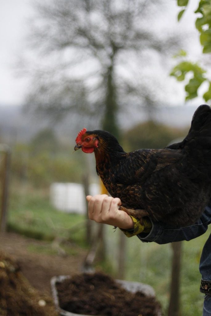 Img 20241113 Wa0029 1