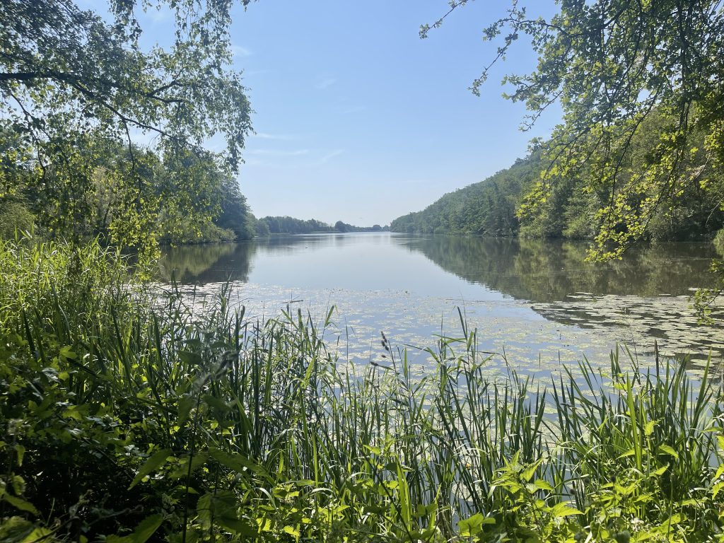 De natuur is geen bezit: 88% van onze community wil rechten van de natuur 7 De Natuur Is Geen Bezit: 88% Van Onze Community Wil Rechten Van De Natuur