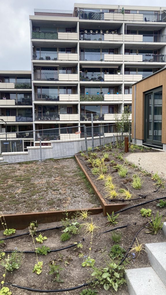 Jaap woont in een tiny house op het dak van een winkelcentrum 3 Tiny Houses Op Het Dak Van Een Winkelcentrum In Leiden