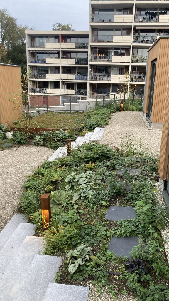 Jaap woont in een tiny house op het dak van een winkelcentrum 5 Tiny Houses Op Het Dak Van Een Winkelcentrum In Leiden