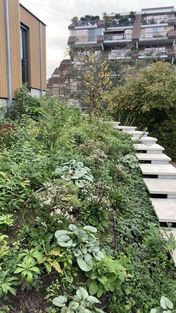 Jaap woont in een tiny house op het dak van een winkelcentrum 4 Tiny Houses Op Het Dak Van Een Winkelcentrum In Leiden