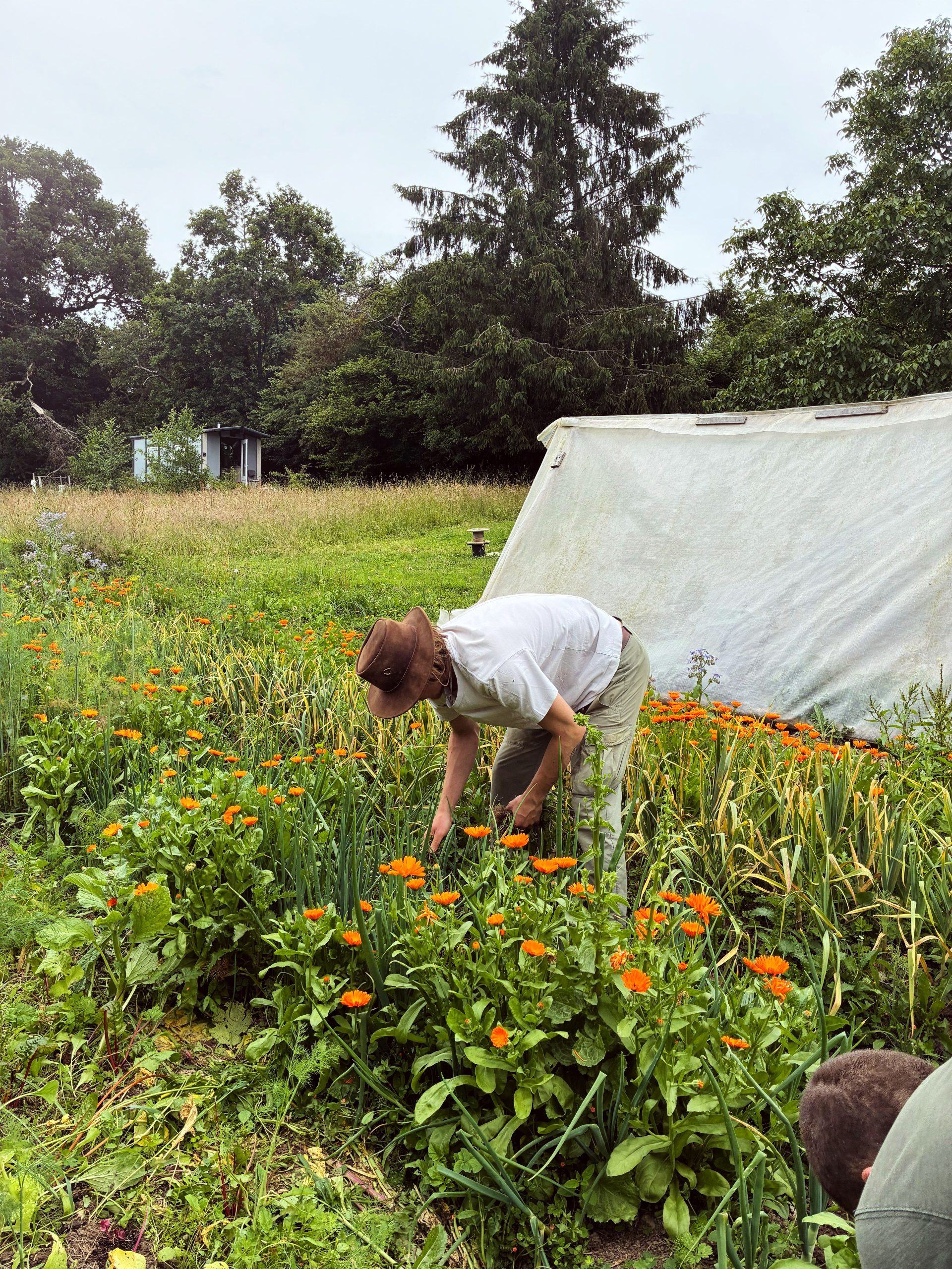 Zelfvoorzienend Leven In Frankrijk: Deze 3 Vrienden Leven Hun Droom