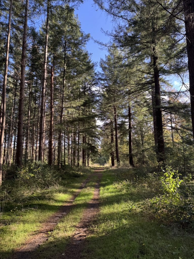 De natuur is geen bezit: 88% van onze community wil rechten van de natuur 3 De Natuur Is Geen Bezit: 88% Van Onze Community Wil Rechten Van De Natuur