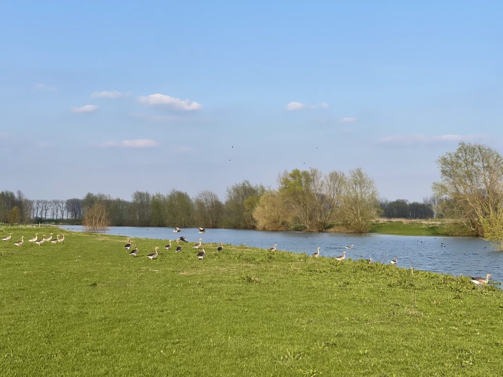 De natuur is geen bezit: 88% van onze community wil rechten van de natuur 6 De Natuur Is Geen Bezit: 88% Van Onze Community Wil Rechten Van De Natuur