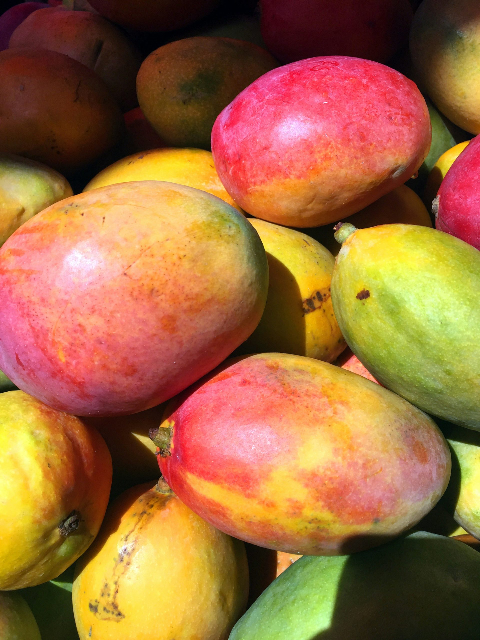 Verse Avocado Of Mango Of Diepvries: Wat Is Duurzamer?