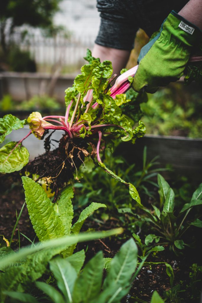 Tuinlabel: zo scoort jouw buitenruimte op duurzaamheid (+ 5 praktische stappen om te verduurzamen) 10 Tuinlabel: Zo Scoort Jouw Buitenruimte Op Duurzaamheid (+ 5 Praktische Stappen Om Te Verduurzamen)