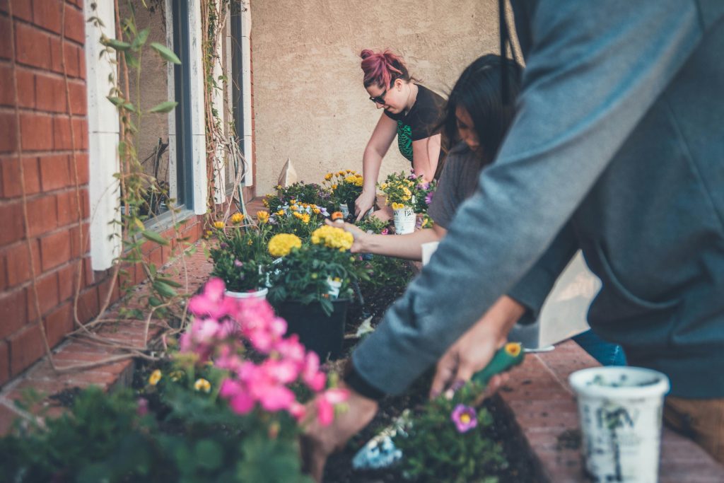 Tuinlabel: zo scoort jouw buitenruimte op duurzaamheid (+ 5 praktische stappen om te verduurzamen) 9 Tuinlabel: Zo Scoort Jouw Buitenruimte Op Duurzaamheid (+ 5 Praktische Stappen Om Te Verduurzamen)