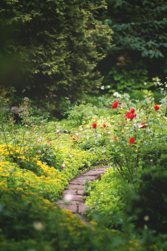 Tuinlabel: zo scoort jouw buitenruimte op duurzaamheid (+ 5 praktische stappen om te verduurzamen) 2 Tuinlabel: Zo Scoort Jouw Buitenruimte Op Duurzaamheid (+ 5 Praktische Stappen Om Te Verduurzamen)