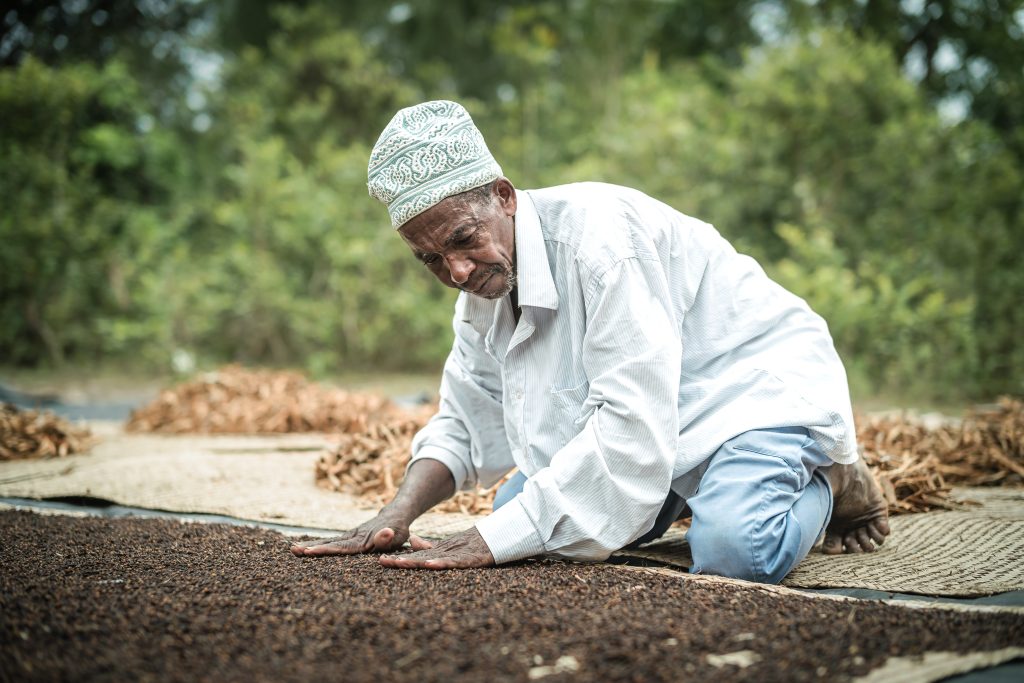 Kleine potjes, grote impact: Iona verkoopt eerlijke specerijen en die smaken écht beter 2 Iona Mulder Brengt Met Haar Eerlijke Specerijen Smaak Terug In Jouw Keuken