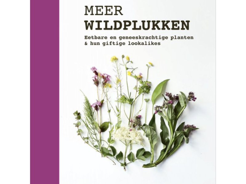 Meer Wildplukken – Leoniek Bontje