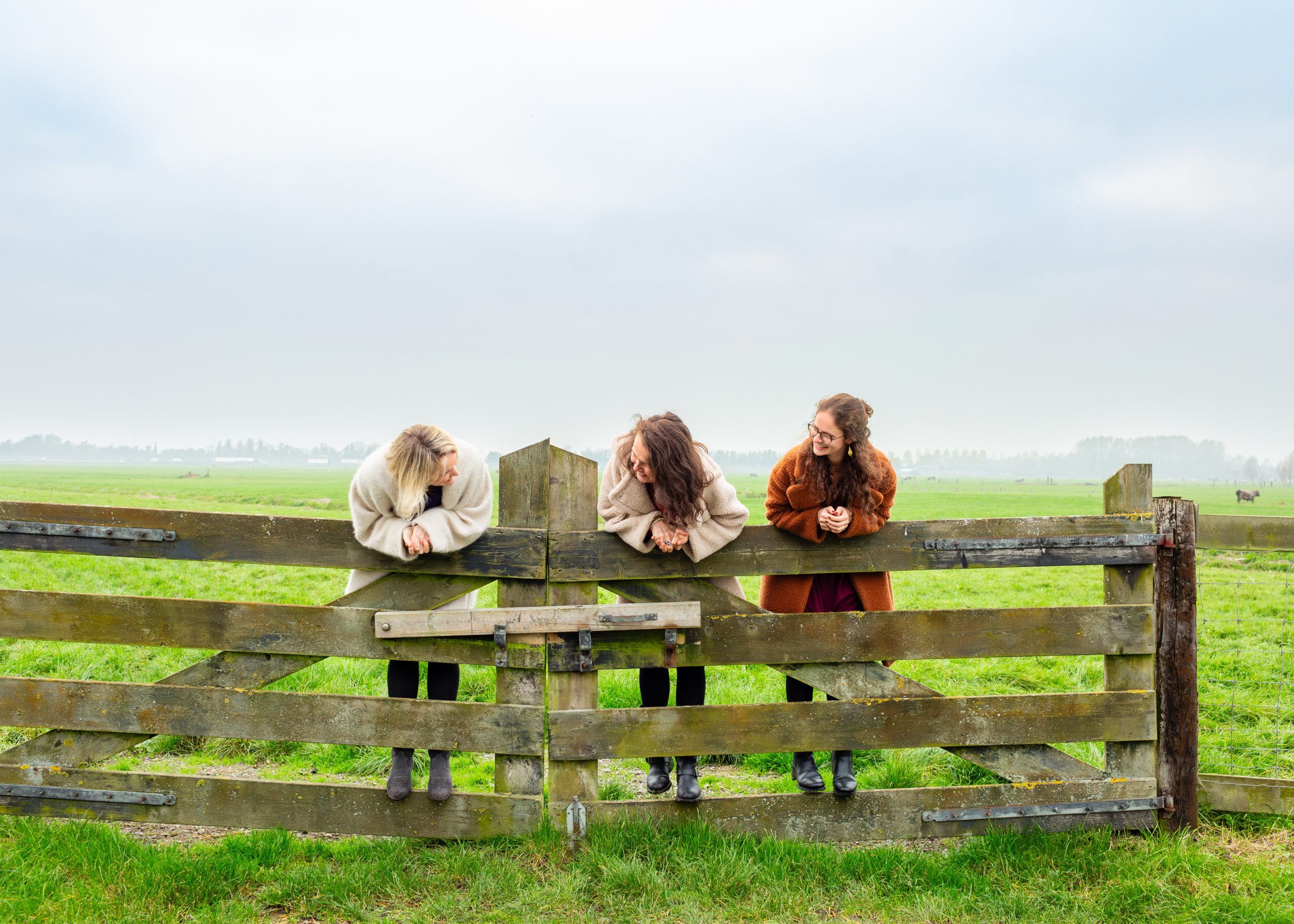 Positief Jaaroverzicht: Dit Ging Er Wel Goed In 2025