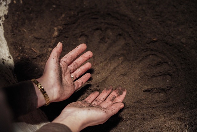 Aarderoeren Is Een Verbindend Ritueel Dat Je Tussen Kerst En Oud &Amp; Nieuw Uitvoert