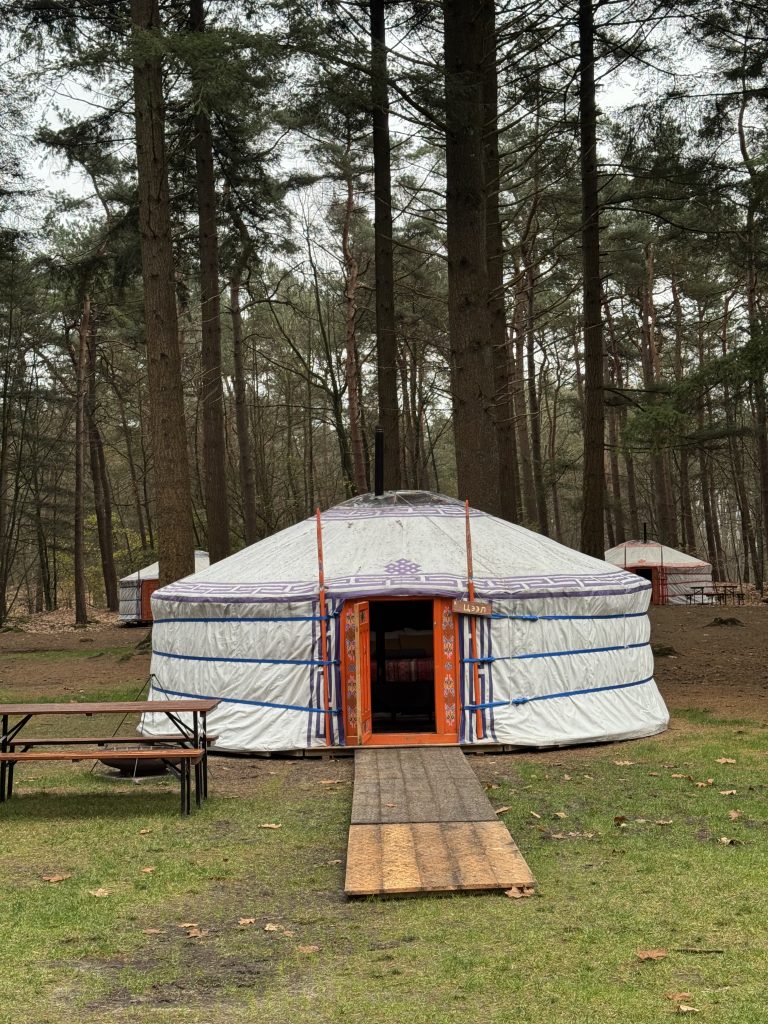 Winterwoods: winterkamperen in een yurt met houtkachel én bed, middenin de natuur 5 Img 7076