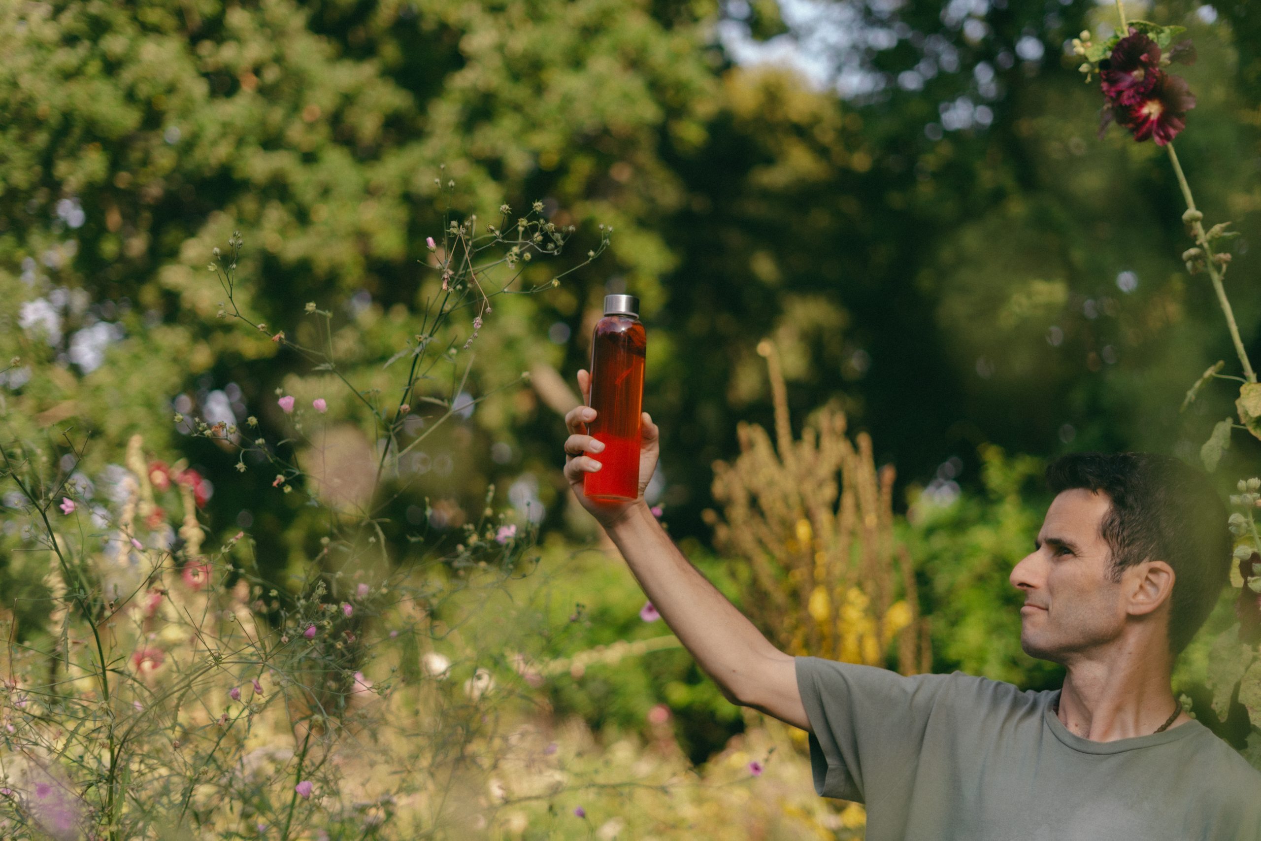 Deze Limonade Is Gemaakt Van Regeneratieve Kruiden En Bevat Geen Suiker