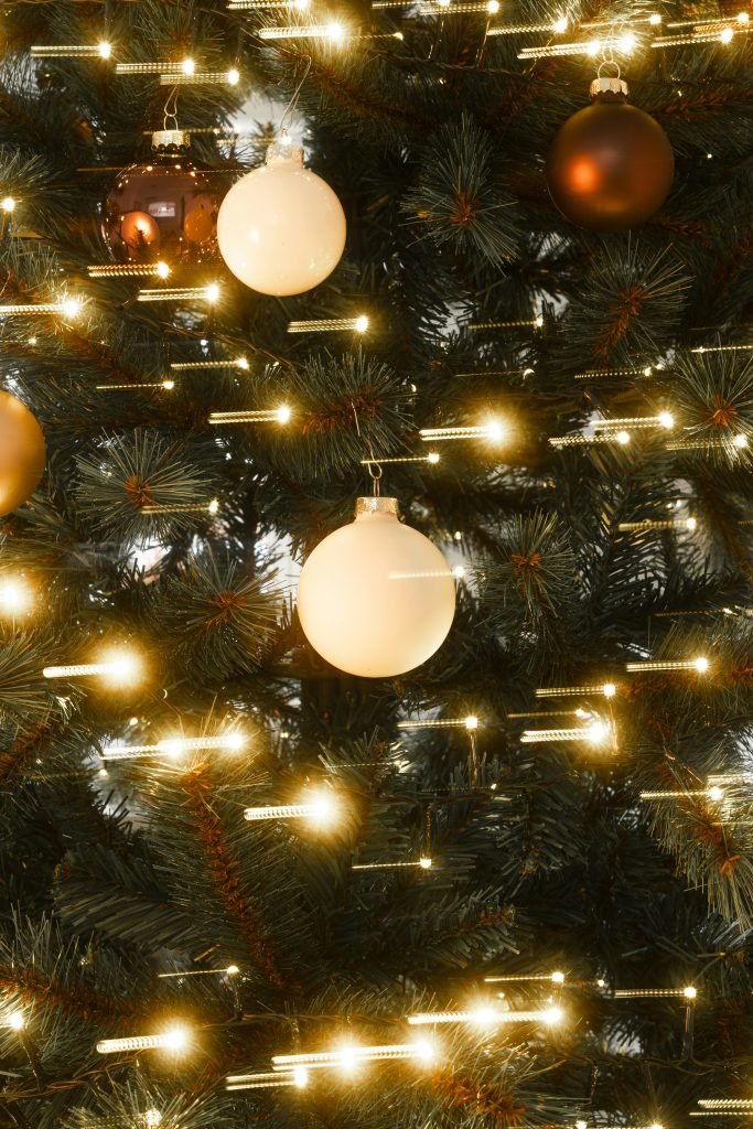 Wat is duurzamer: een echte kerstboom of een kunstboom? 4 Welke Kerstboom Is Duurzamer: Een Echte Kerstboom Of Een Kunstkerstboom?