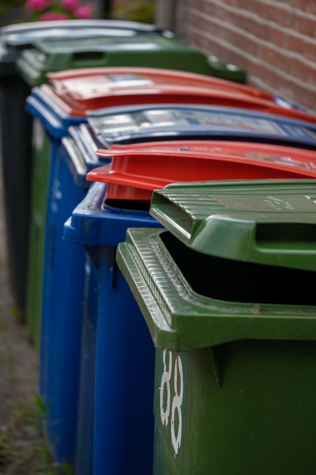 Pexels Haberdoedas 32600985