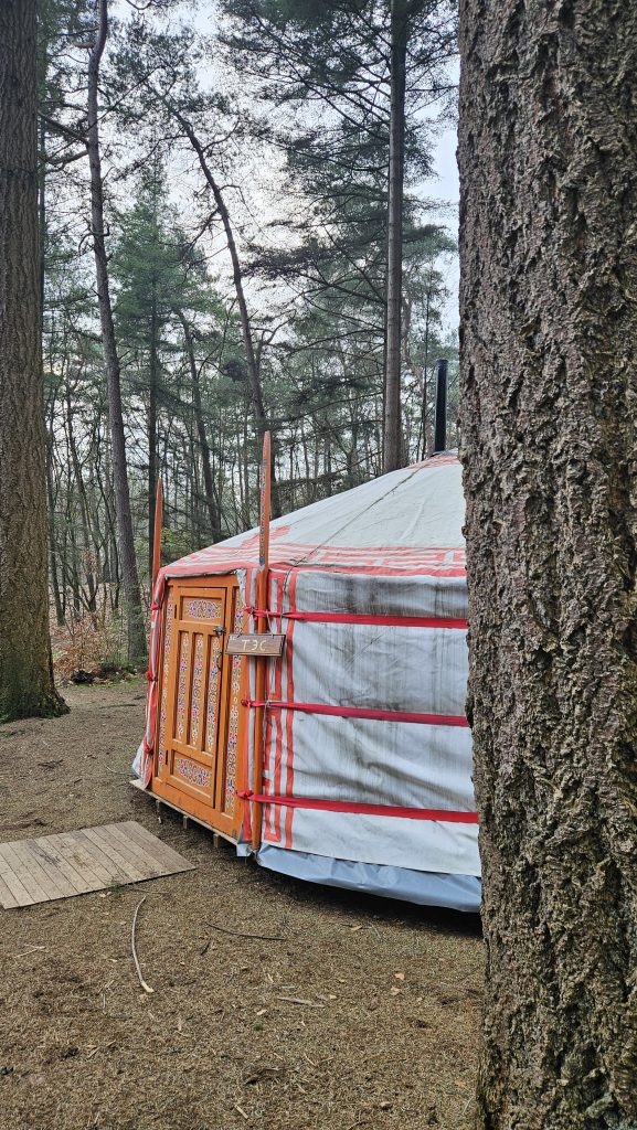 Winterwoods: winterkamperen in een yurt met houtkachel én bed, middenin de natuur 3 Winterkamperen Of Glamping 2.0 Bij Winterwoods In Drenthe, Middenin De Bossen