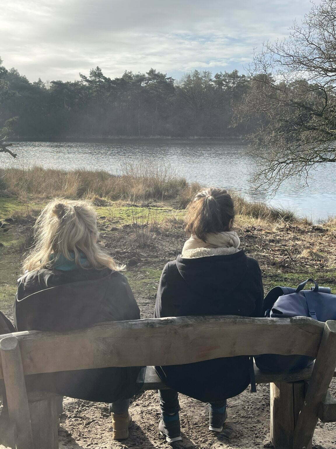 Zo Vind Je De Leukste Wandelroutes Van Nederland