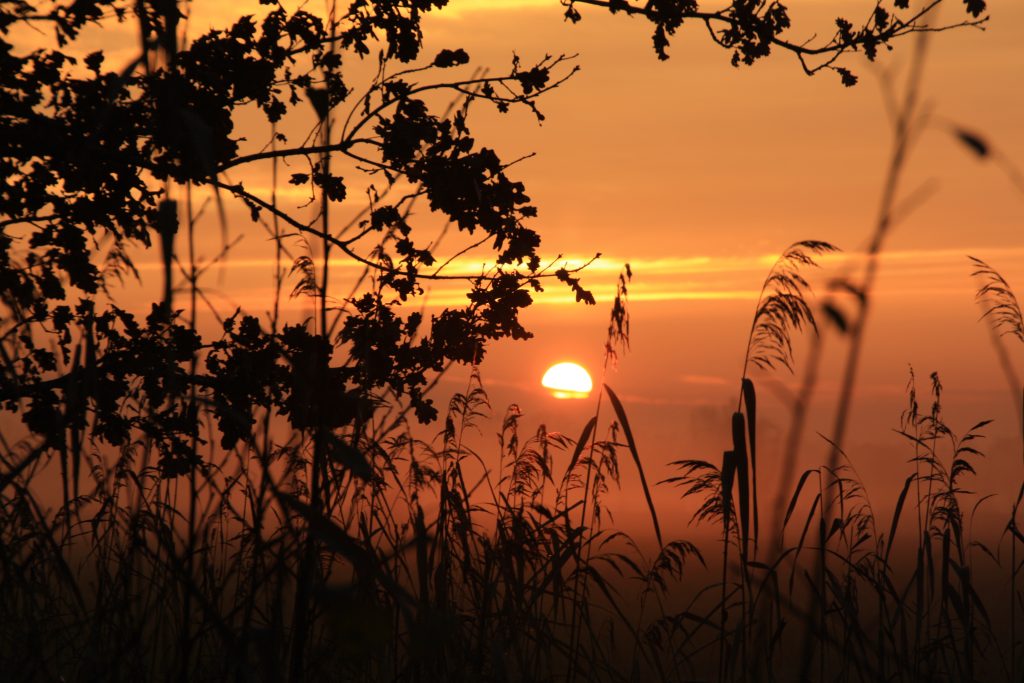 Natuur Beleven In De Winter: Dit Is Er Nu Allemaal Te Zien