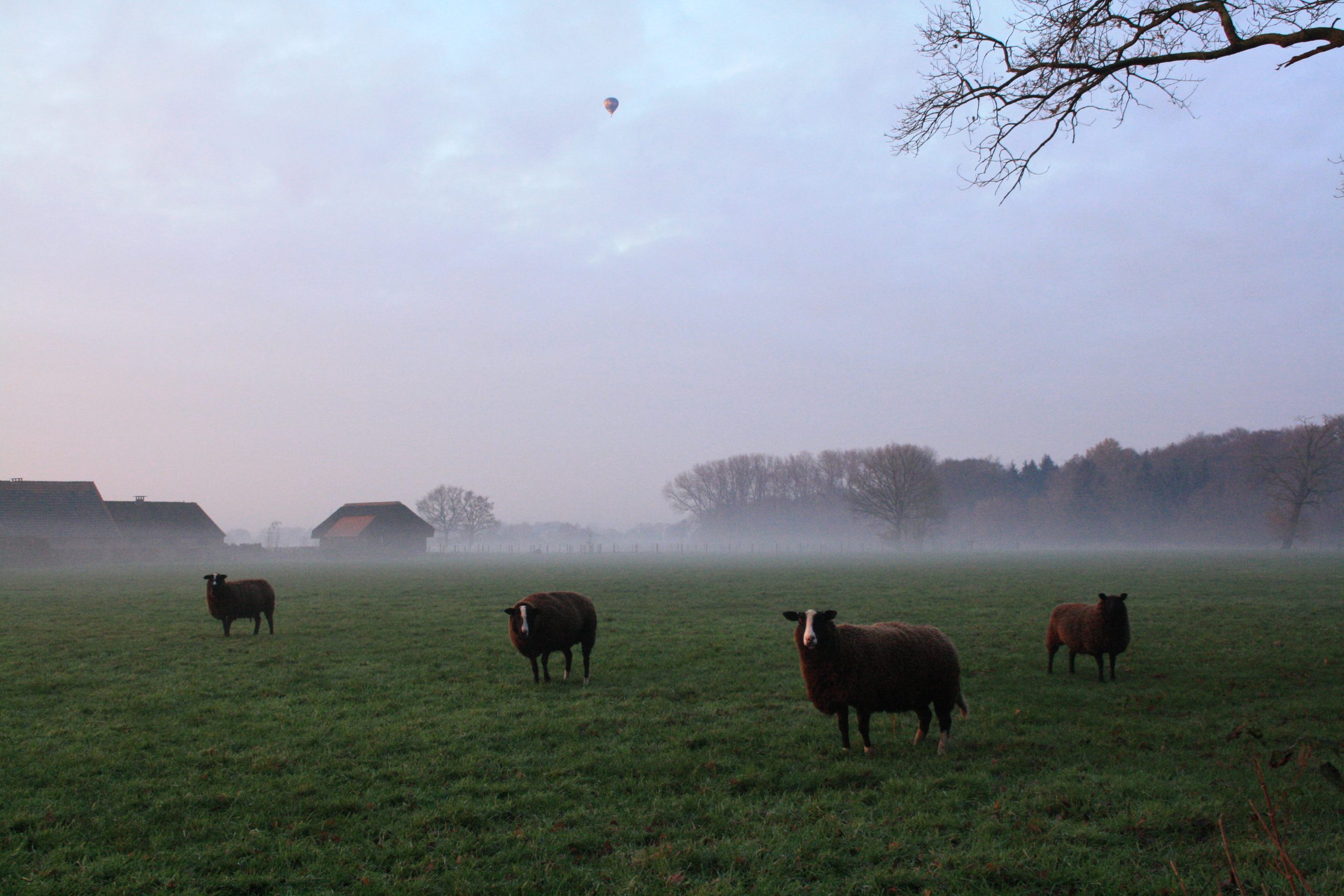 Natuur Beleven In De Winter: Dit Is Er Nu Allemaal Te Zien