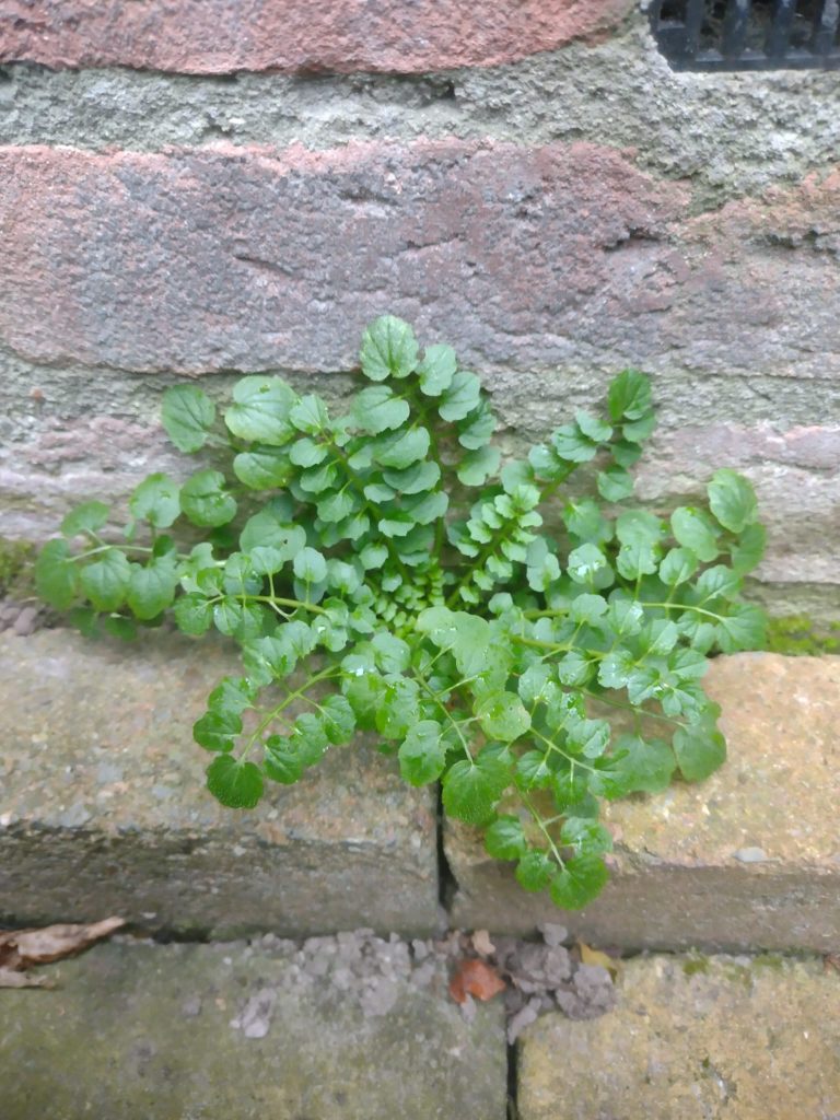 Natuur Beleven In De Winter: Dit Is Er Nu Allemaal Te Zien