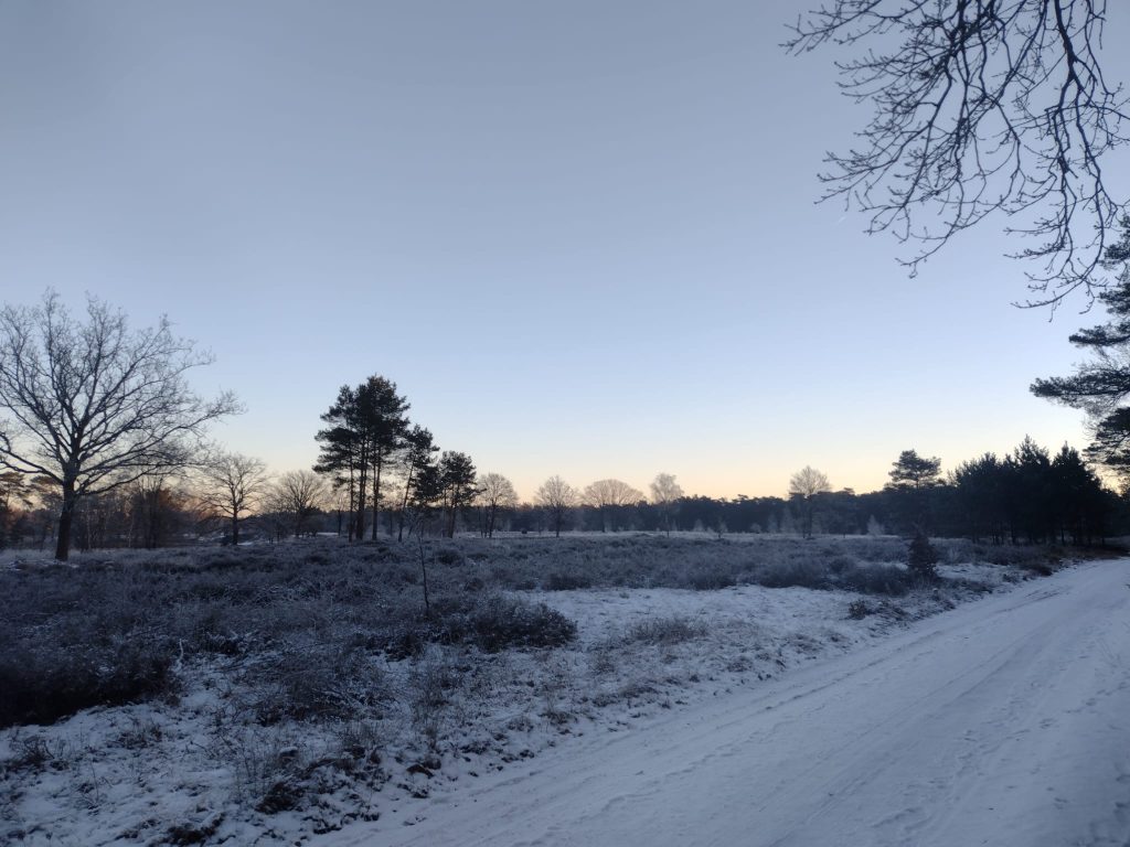 Natuur Beleven In De Winter: Dit Is Er Nu Allemaal Te Zien