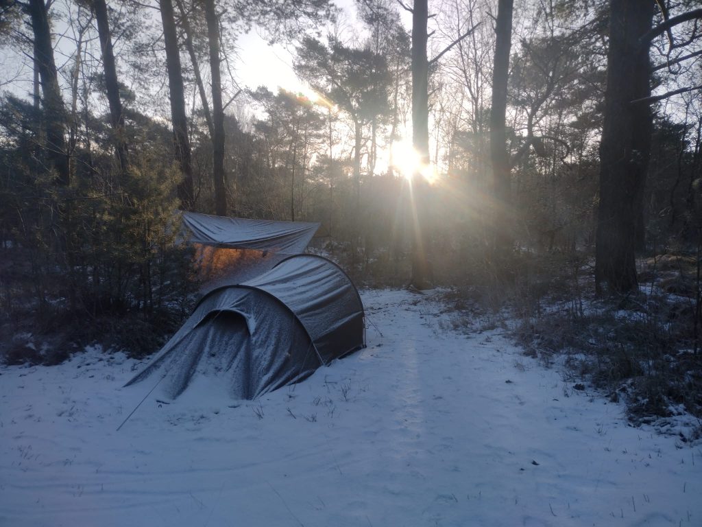 Natuur Beleven In De Winter: Dit Is Er Nu Allemaal Te Zien