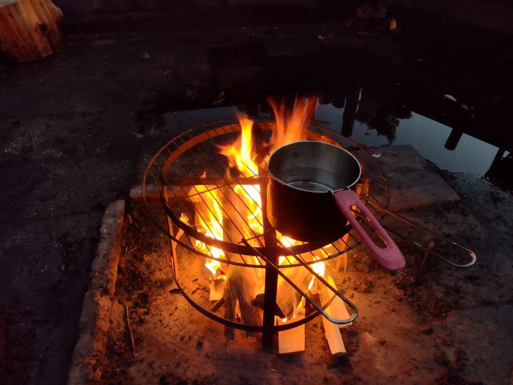 Natuur Beleven In De Winter: Dit Is Er Nu Allemaal Te Zien
