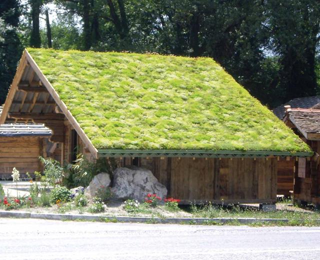 Zelf een groen dak aanleggen? Dit is het 3-stappenplan 3 Groen Dak Aanleggen