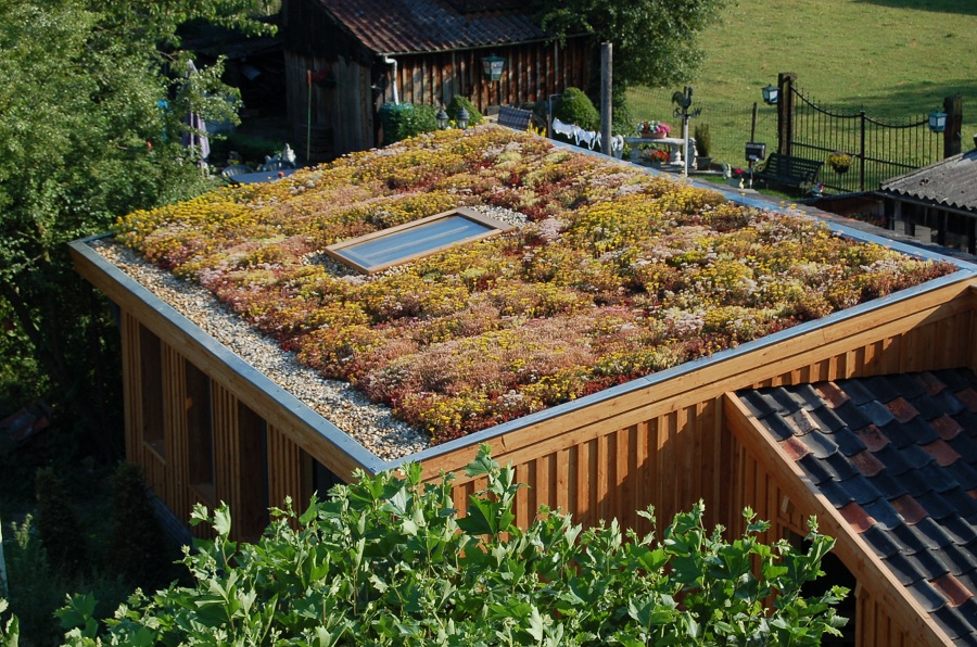 Zelf een groen dak aanleggen? Dit is het 3-stappenplan 2 Groen Dak Aanleggen