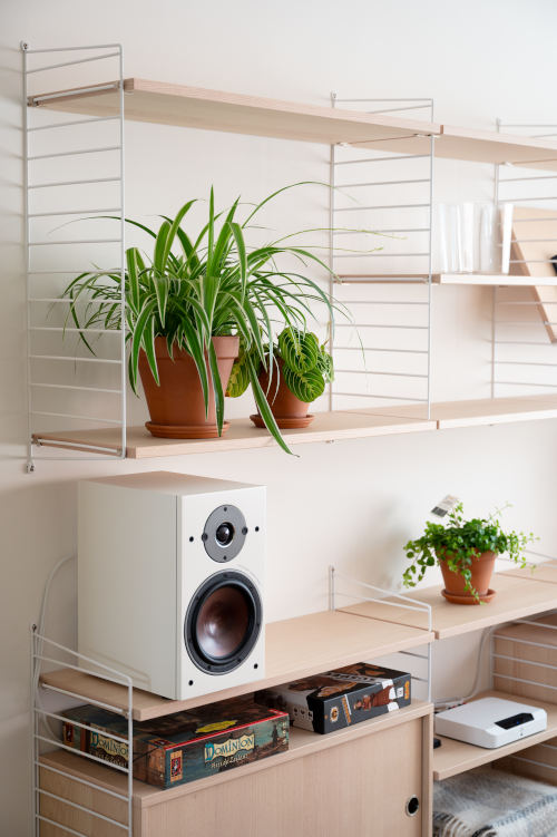 5 tips van een pro voor een duurzaam interieur: met dit meubelstuk maak je de meeste impact! 9 Een Duurzaam Interieur: Waar Begin Je? 5 Tips Van Een Professional!