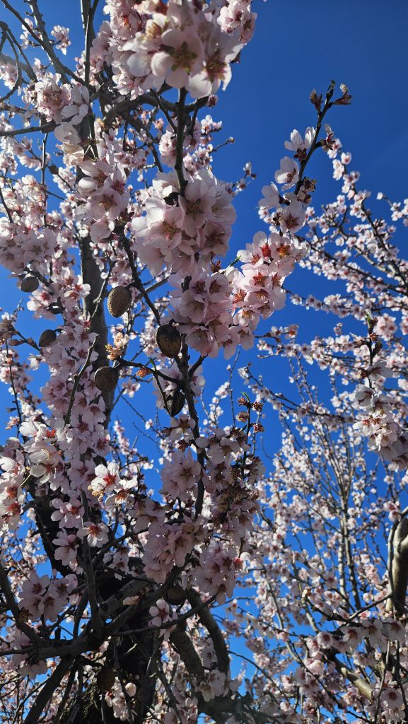 Deze 3 fietsroutes bij Valencia wil je niet missen