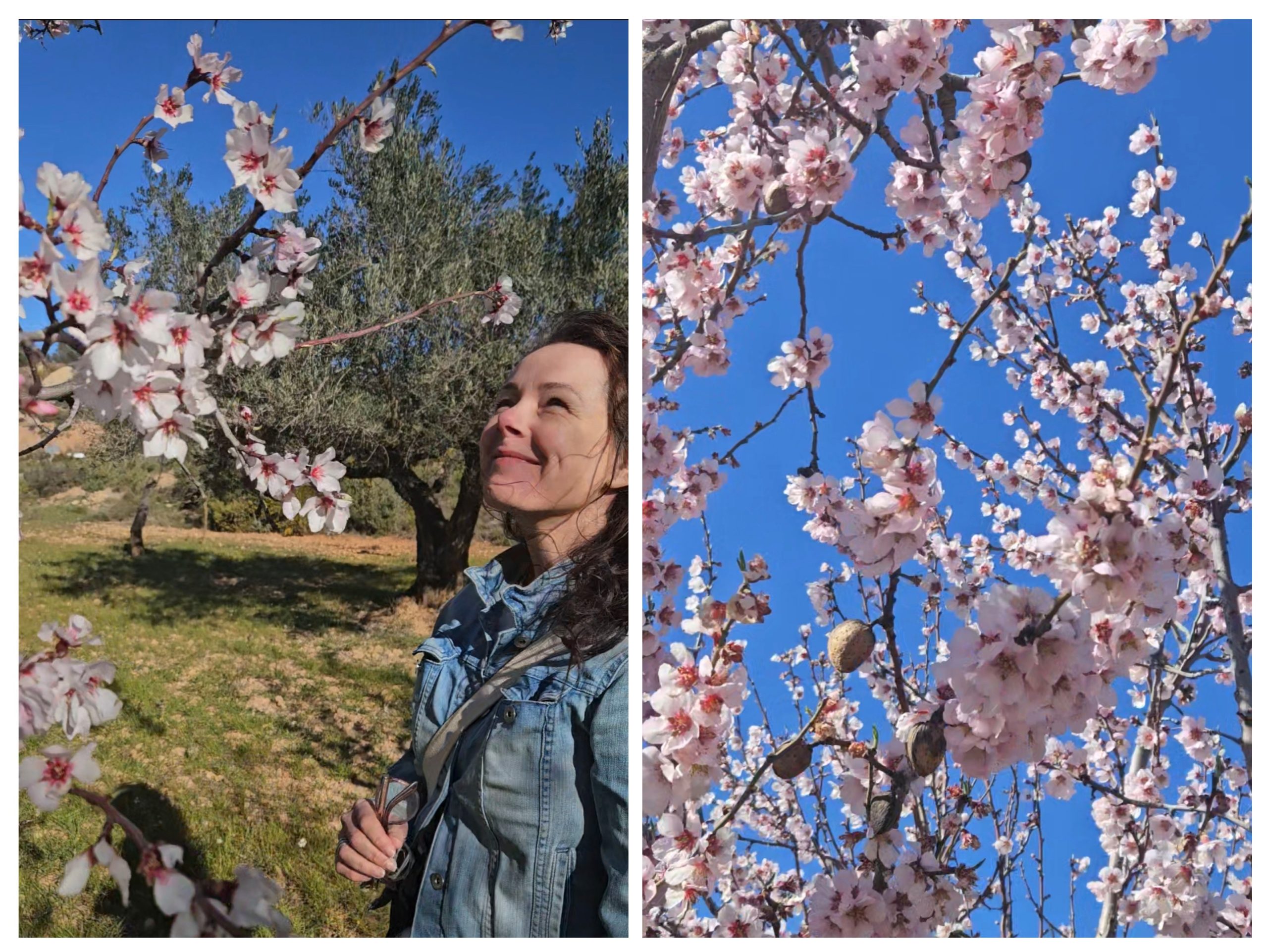 Deze 3 fietsroutes bij Valencia wil je niet missen