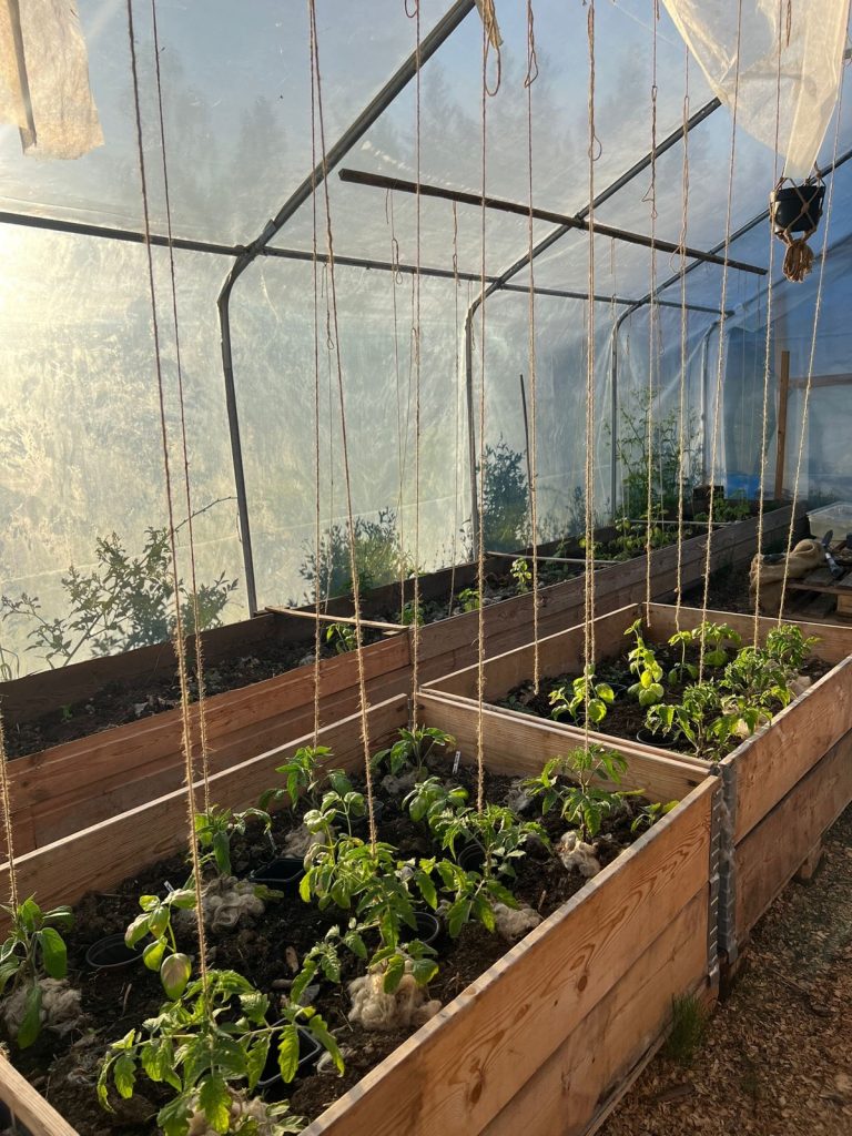 4 jaar geleden verhuisden ze naar Zweden, maar Suzanna en Ruben willen terug: dit is waarom. 4 Ruben En Suzanna Emigreerden Naar Zweden