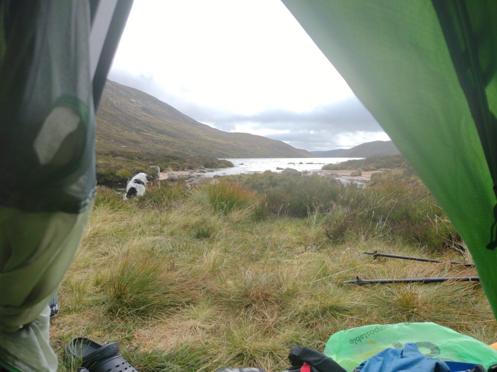 Wildkamperen: Dit Is Alles Wat Je Moet Weten Voordat Je Eraan Begint (Tips Van Een Pro)