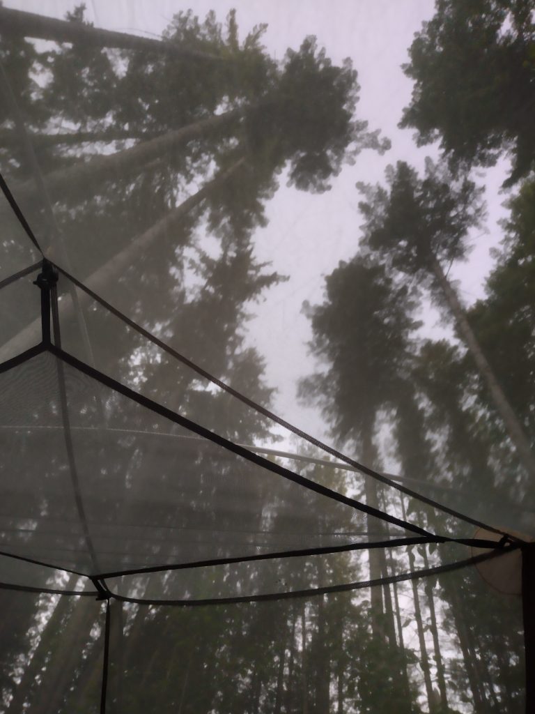 Simone ging wildkamperen… tussen de beren. Dit zijn haar ervaringen en tips! 6 Kamperen Tussen De Beren, Canada