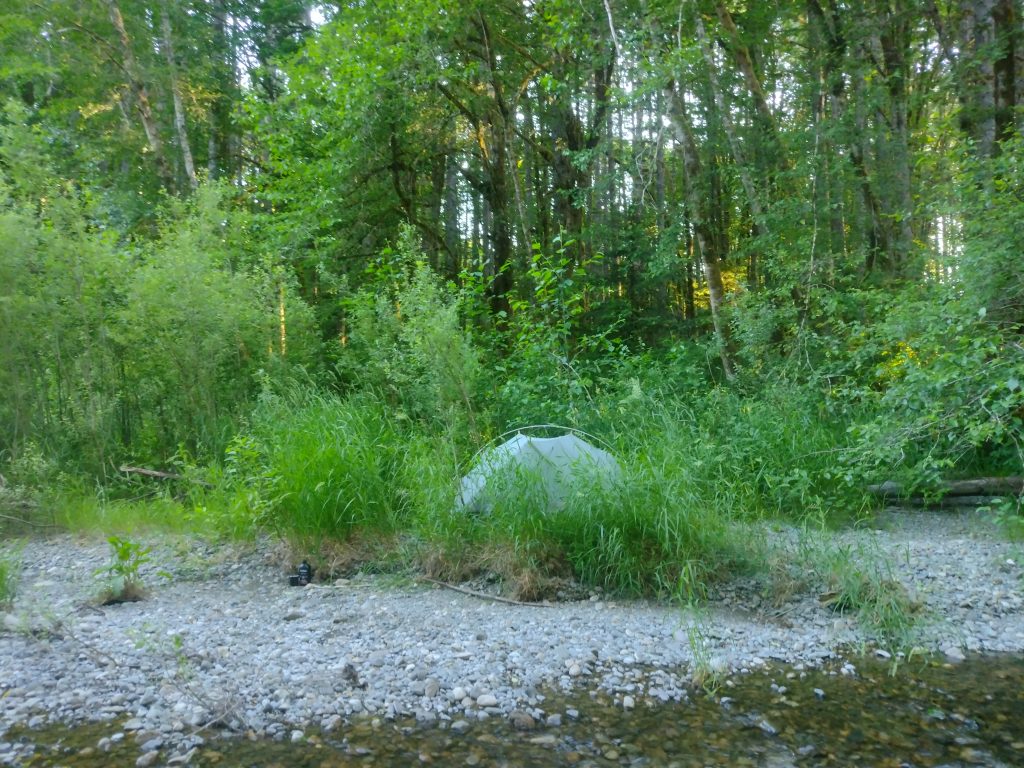 Simone ging wildkamperen… tussen de beren. Dit zijn haar ervaringen en tips! 5 Kamperen Tussen De Beren, Canada