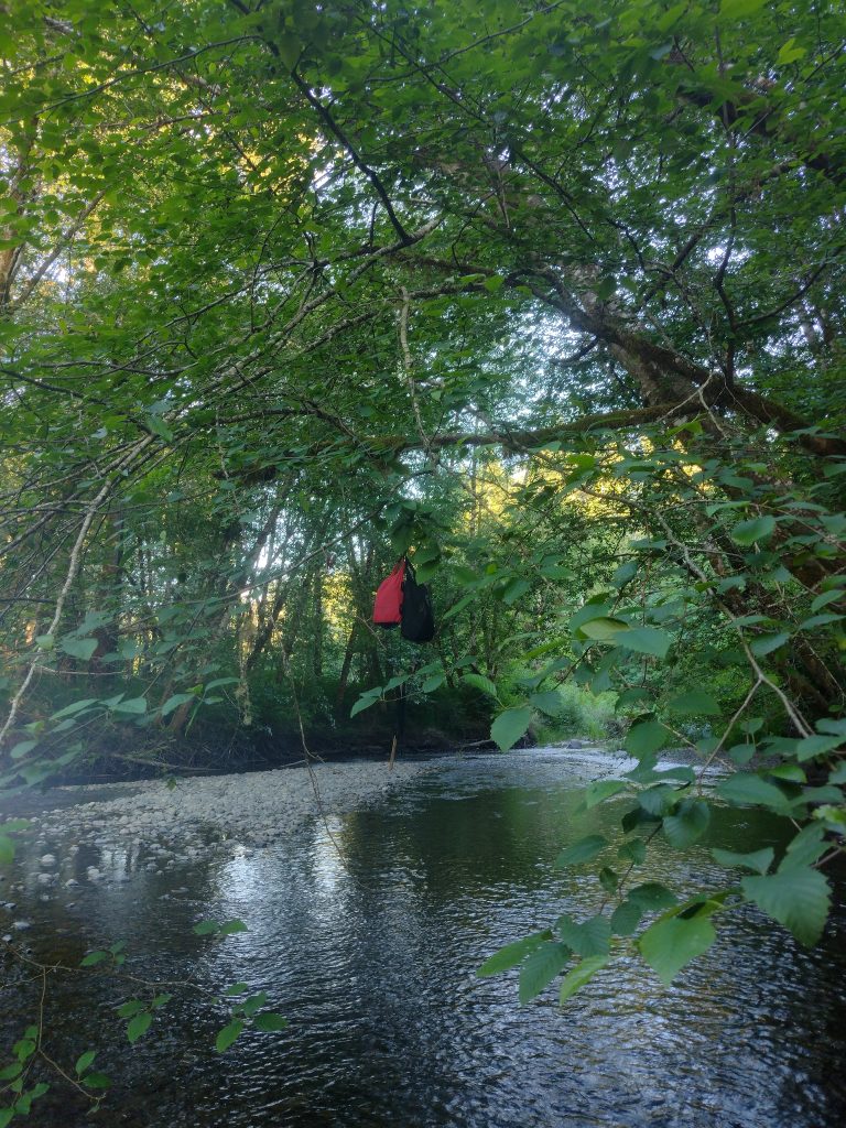 Simone ging wildkamperen… tussen de beren. Dit zijn haar ervaringen en tips! 8 Kamperen Tussen De Beren, Canada