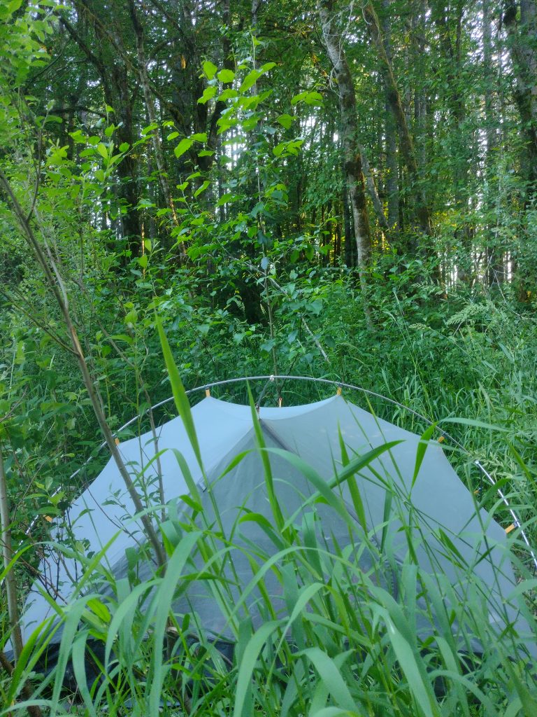 Simone ging wildkamperen… tussen de beren. Dit zijn haar ervaringen en tips! 4 Kamperen Tussen De Beren, Canada