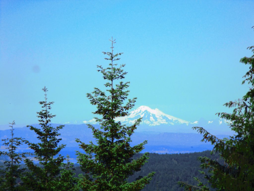 Simone ging wildkamperen… tussen de beren. Dit zijn haar ervaringen en tips! 3 Kamperen Tussen De Beren, Canada