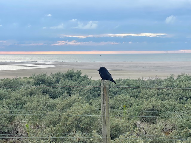 Anders Reizen Onderzoek