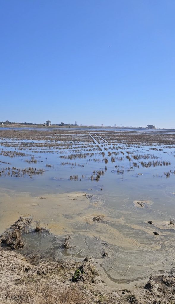 Deze 3 fietsroutes bij Valencia wil je niet missen