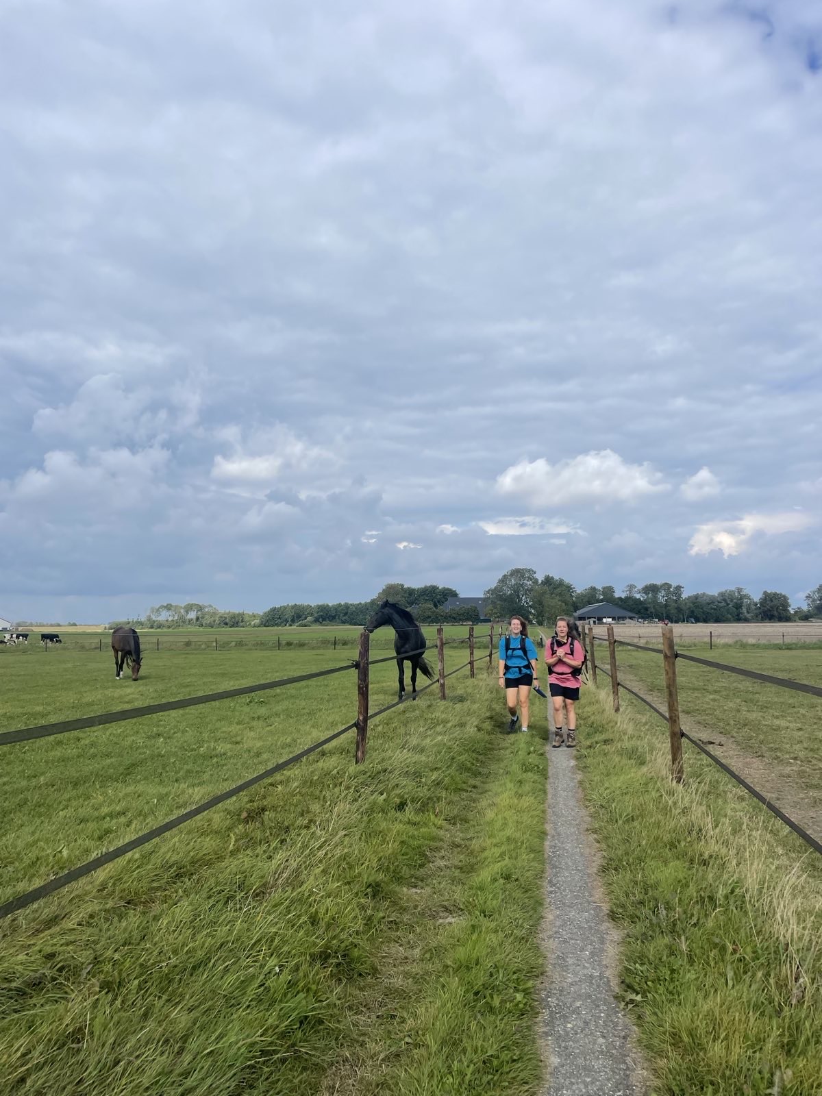 Het Ziltepad Lopen In Nederland, Lange Afstand Wandelen, Pelgrimspad