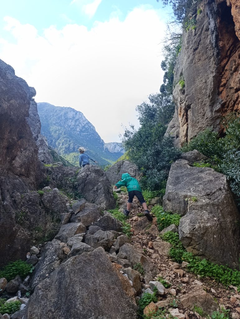 Brecht en zijn gezin trekken al 5 jaar met een oude camper door Europa. Dit is wat het hem brengt. 