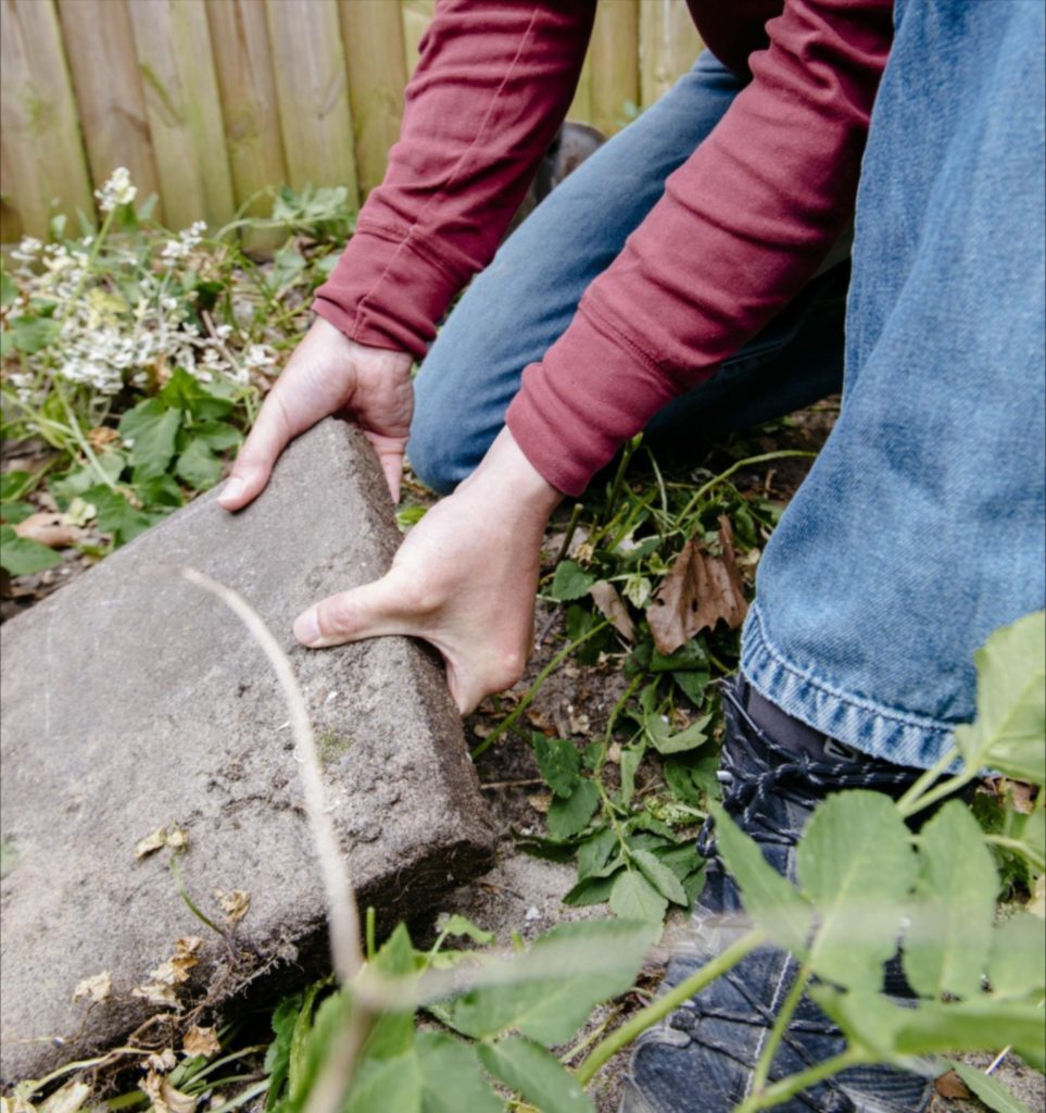 NK Tegelwippen: win een uniek stukje groen uit Artis