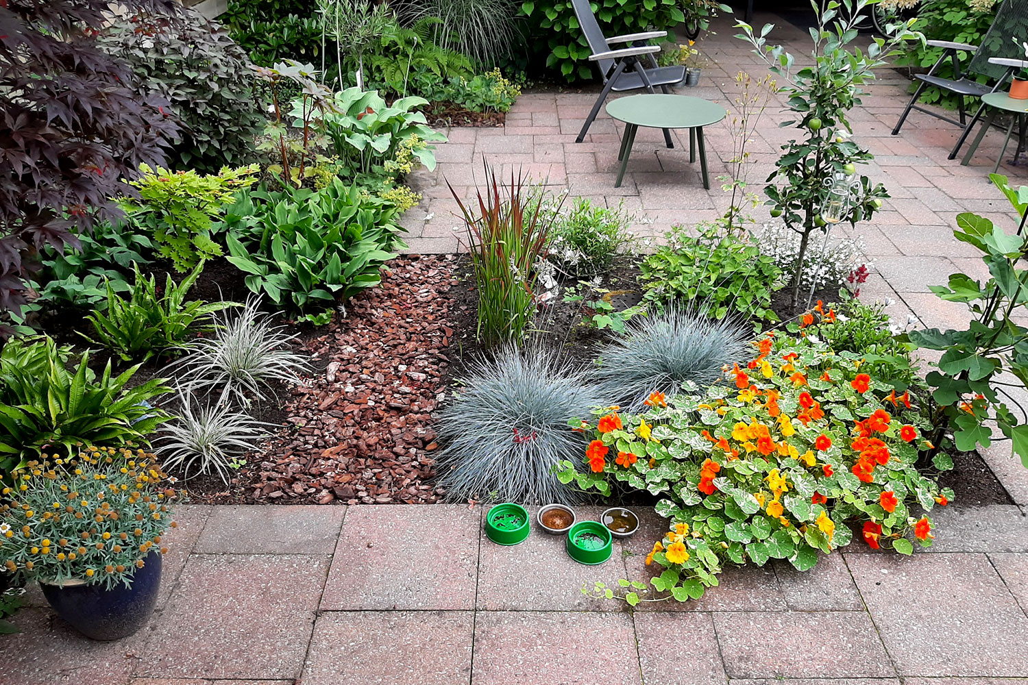 NK Tegelwippen: win een uniek stukje groen uit Artis